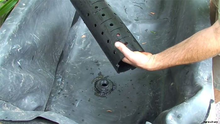 How to Make an Aquaponic Pond System