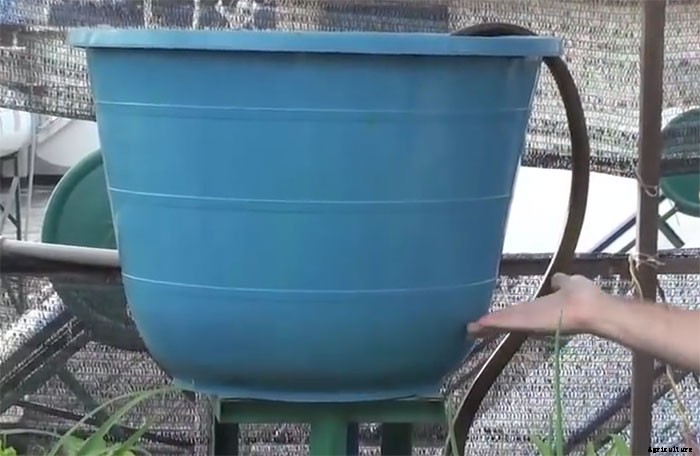 Simple DIY Aquaponic System Made With Barrels