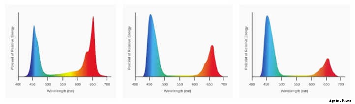 California Lightworks Review: USA-Made LED Grow Lights