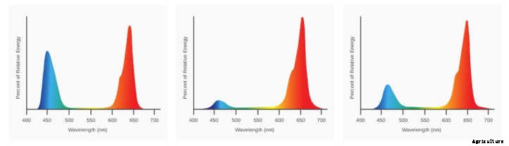 California Lightworks Review: USA-Made LED Grow Lights