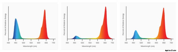 California Lightworks Review: USA-Made LED Grow Lights