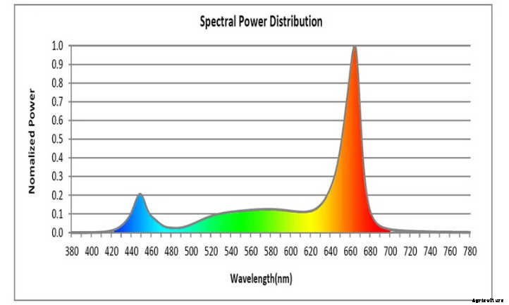 California Lightworks Review: USA-Made LED Grow Lights