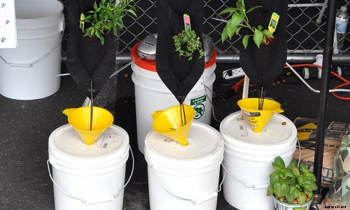 Outdoor Hydroponics: 9 Tips For Maximum Yields