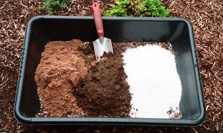 Perlite: What It Is And How To Use It In Your Garden
