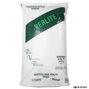 Perlite: What It Is And How To Use It In Your Garden