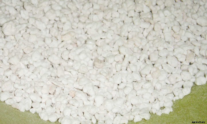 Perlite: What It Is And How To Use It In Your Garden