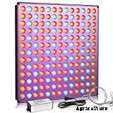 Mars Hydro Review: How Do These Lights Perform?