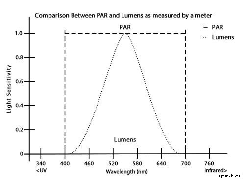 The Best Full Spectrum LED Grow Lights