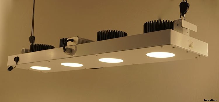 The COB LED Grow Light Explained and Reviewed