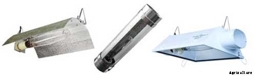 Grow Tent Setup: The Complete Guide