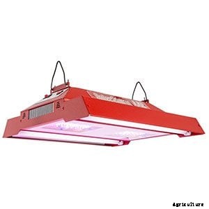 The Best Full Spectrum LED Grow Lights