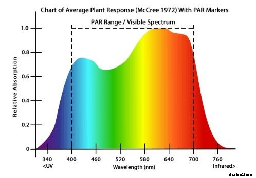 Metal Halide Grow Lights Explained and Reviewed