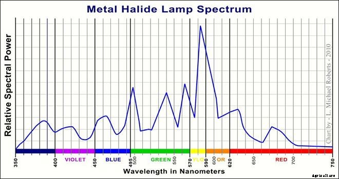Metal Halide Grow Lights Explained and Reviewed