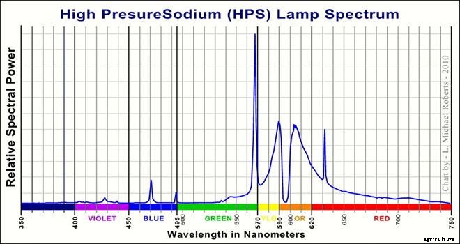 Metal Halide Grow Lights Explained and Reviewed