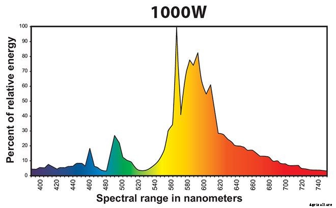 Ceramic Metal Halide Lights: What They Are And How To Use Them