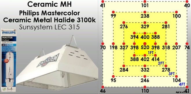 Ceramic Metal Halide Lights: What They Are And How To Use Them