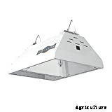 Ceramic Metal Halide Lights: What They Are And How To Use Them