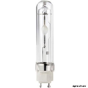 Ceramic Metal Halide Lights: What They Are And How To Use Them