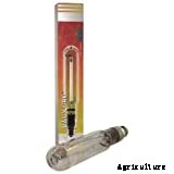 The Best HPS Bulbs For Your Garden