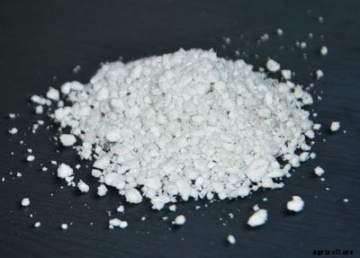 Perlite vs Vermiculite: What’s the Difference?