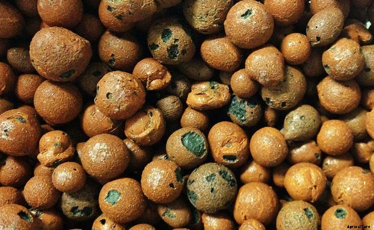 Hydroton (Expanded Clay Pebbles) Growing Guide
