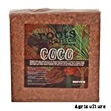 Coconut Coir: What It Is And Which To Get