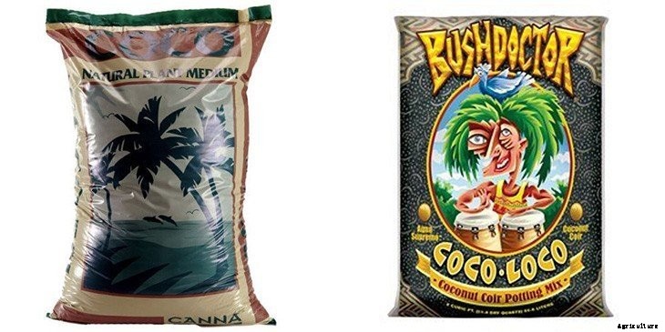 Coconut Coir: What It Is And Which To Get