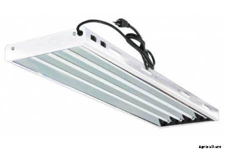 T5 Grow Lights: Our Top 7 Picks For 2021