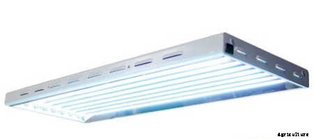 T5 Grow Lights: Our Top 7 Picks For 2021