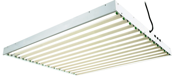 T5 Grow Lights: Our Top 7 Picks For 2021