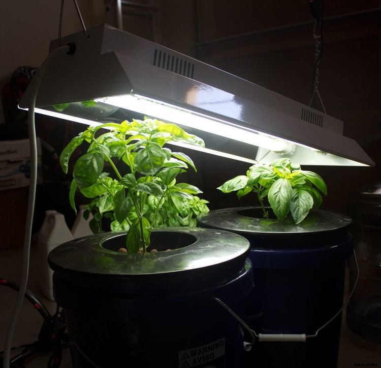 T5 Grow Lights: Our Top 7 Picks For 2021