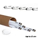 T5 Grow Lights: Our Top 7 Picks For 2021