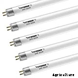 T5 Grow Lights: Our Top 7 Picks For 2021