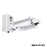 Plasma Grow Lights Guide for 2021