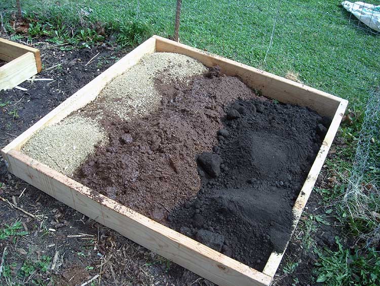 Peat Moss in the Garden – Sphagnum Peat Moss Uses