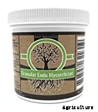 How to Deal With Transplant Shock