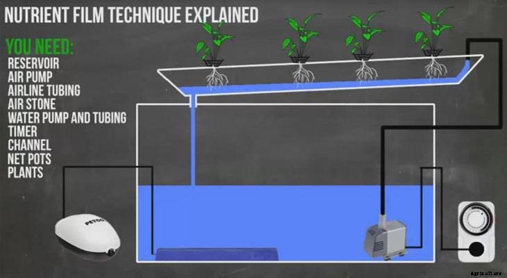 The Nutrient Film Technique Explained