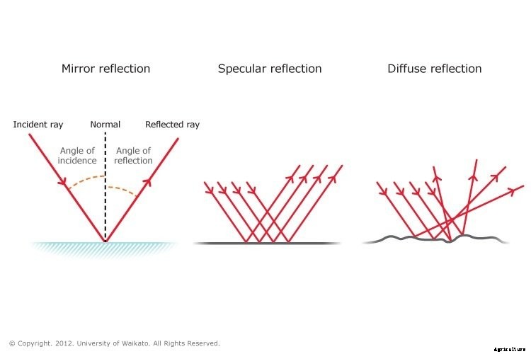 The Best Grow Light Reflector Hoods in 2021