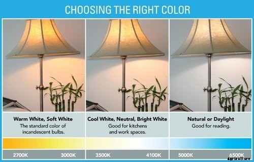 CFL Grow Lights: The Ultimate Guide