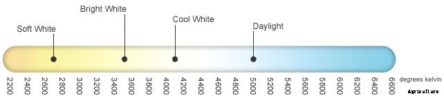 CFL Grow Lights: The Ultimate Guide