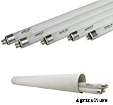 CFL Grow Lights: The Ultimate Guide