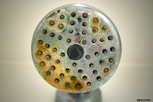 Can You Use Tap Water For Hydroponics?