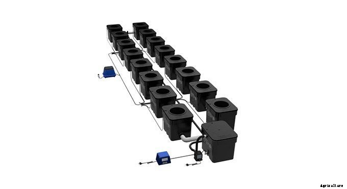 Deep Water Culture (DWC): What Is It And How To Get Started