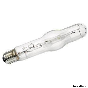 Types of Hydroponic Lighting: What You Need To Know