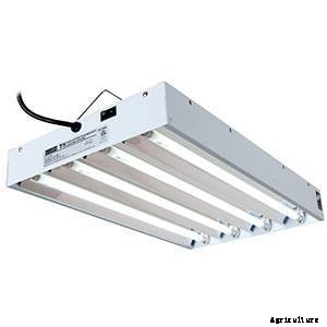 Types of Hydroponic Lighting: What You Need To Know