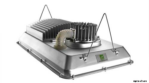 Types of Hydroponic Lighting: What You Need To Know