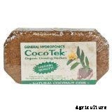 Hydroponics for Kids: Build a 2 Liter Bottle Garden