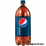 Hydroponics for Kids: Build a 2 Liter Bottle Garden