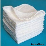 Hydroponics for Kids: Build a 2 Liter Bottle Garden