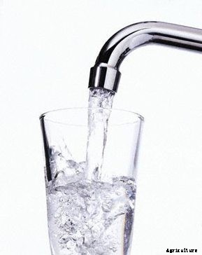 Hydroponics for Kids: Build a 2 Liter Bottle Garden